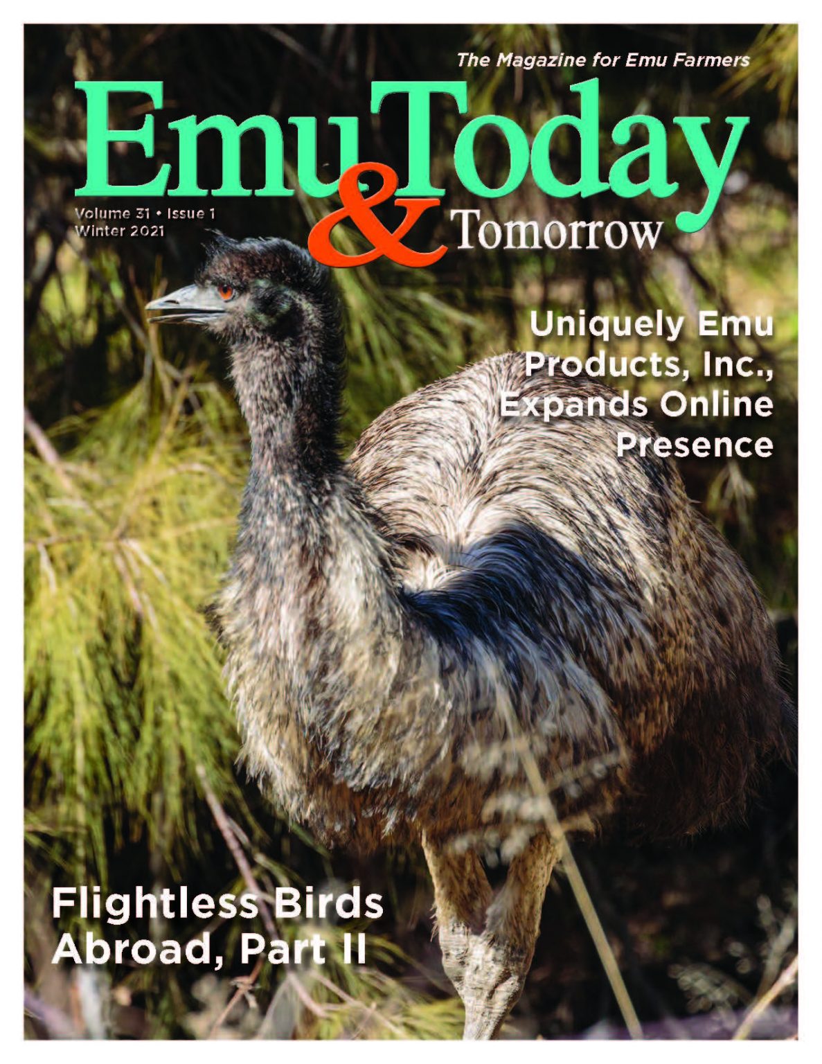 Emu Today & Tomorrow The Magazine for Emu Farmers